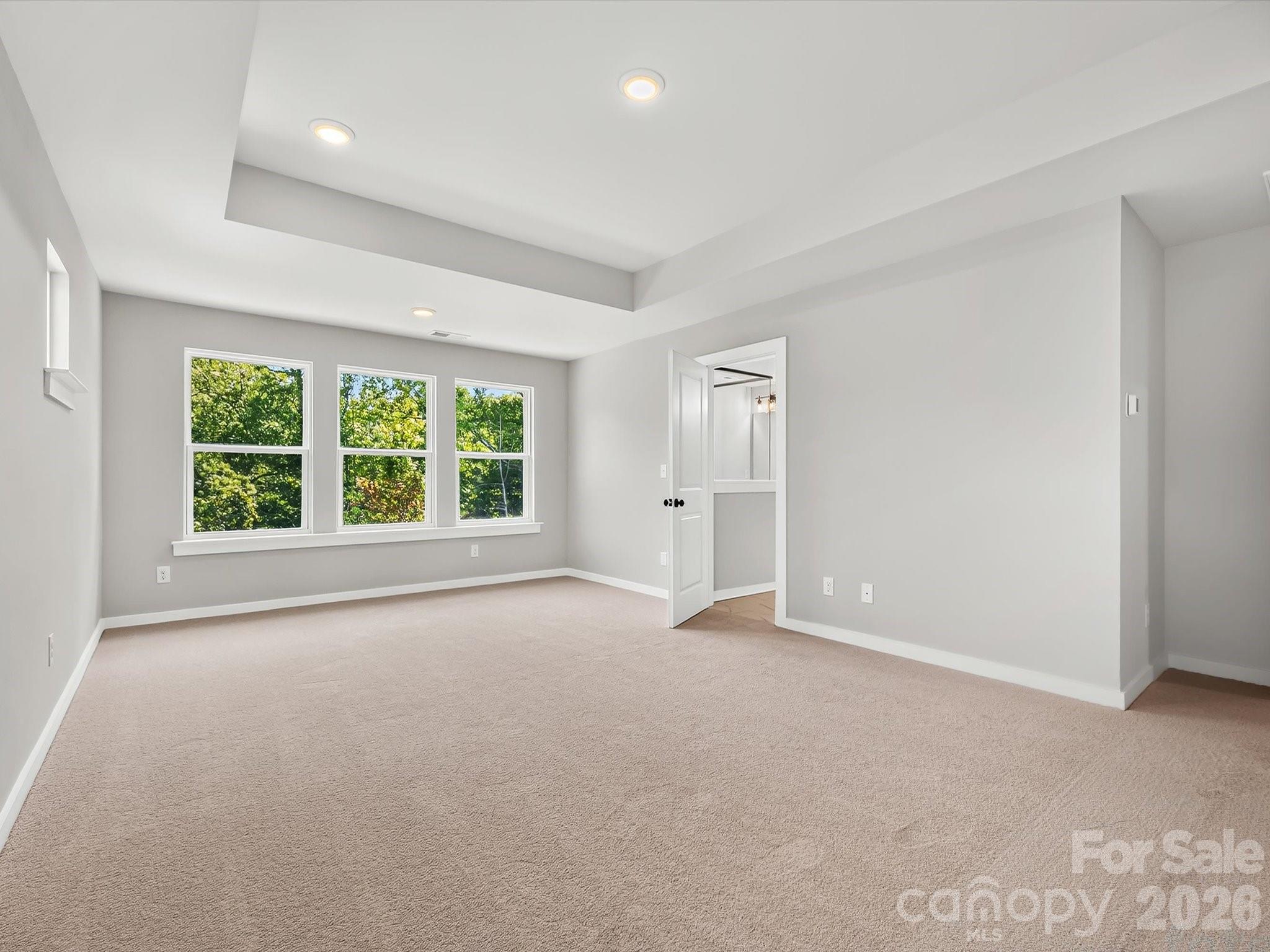 284 Alluvium Lane Property Photo 28