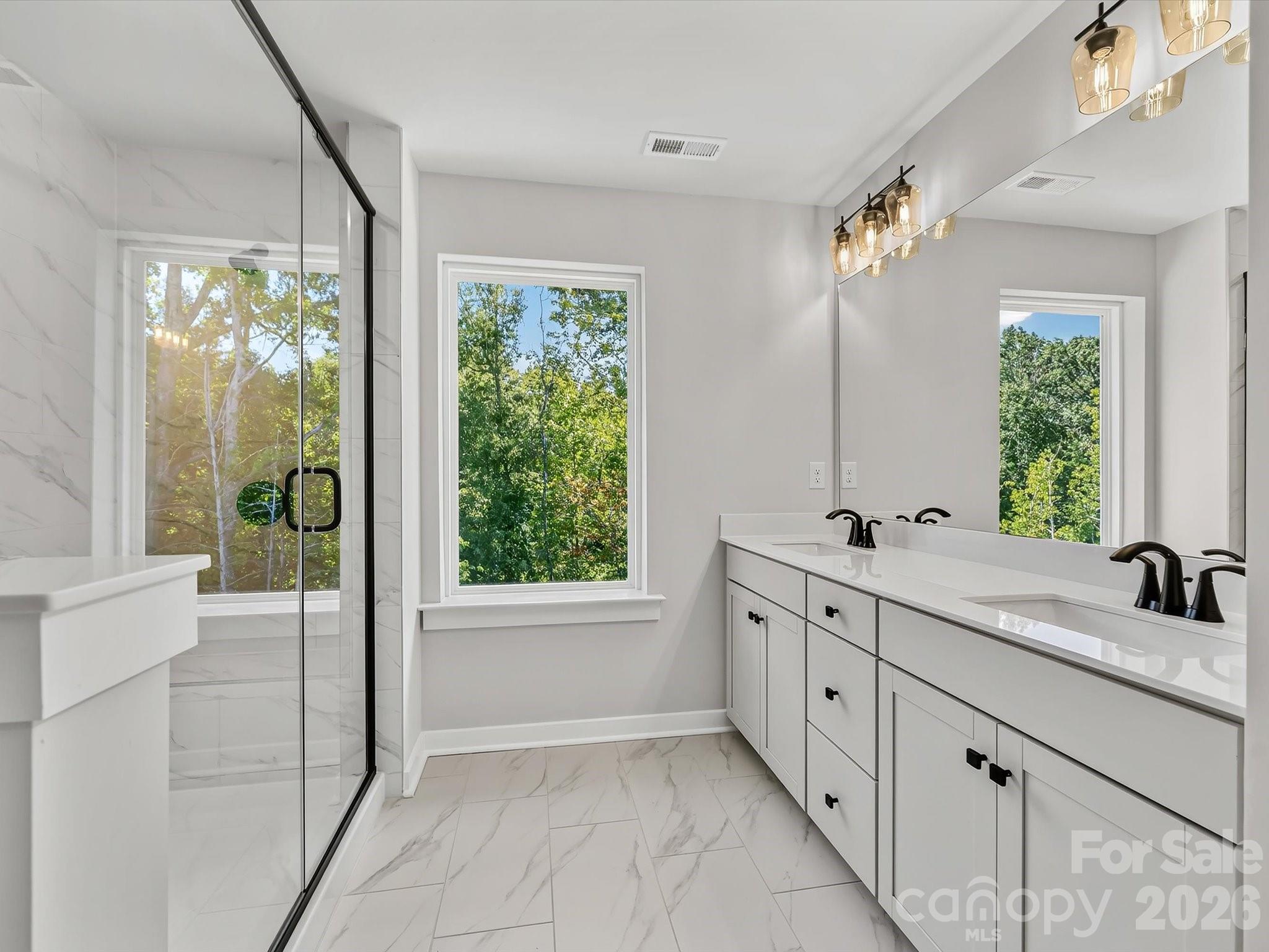 284 Alluvium Lane Property Photo 31