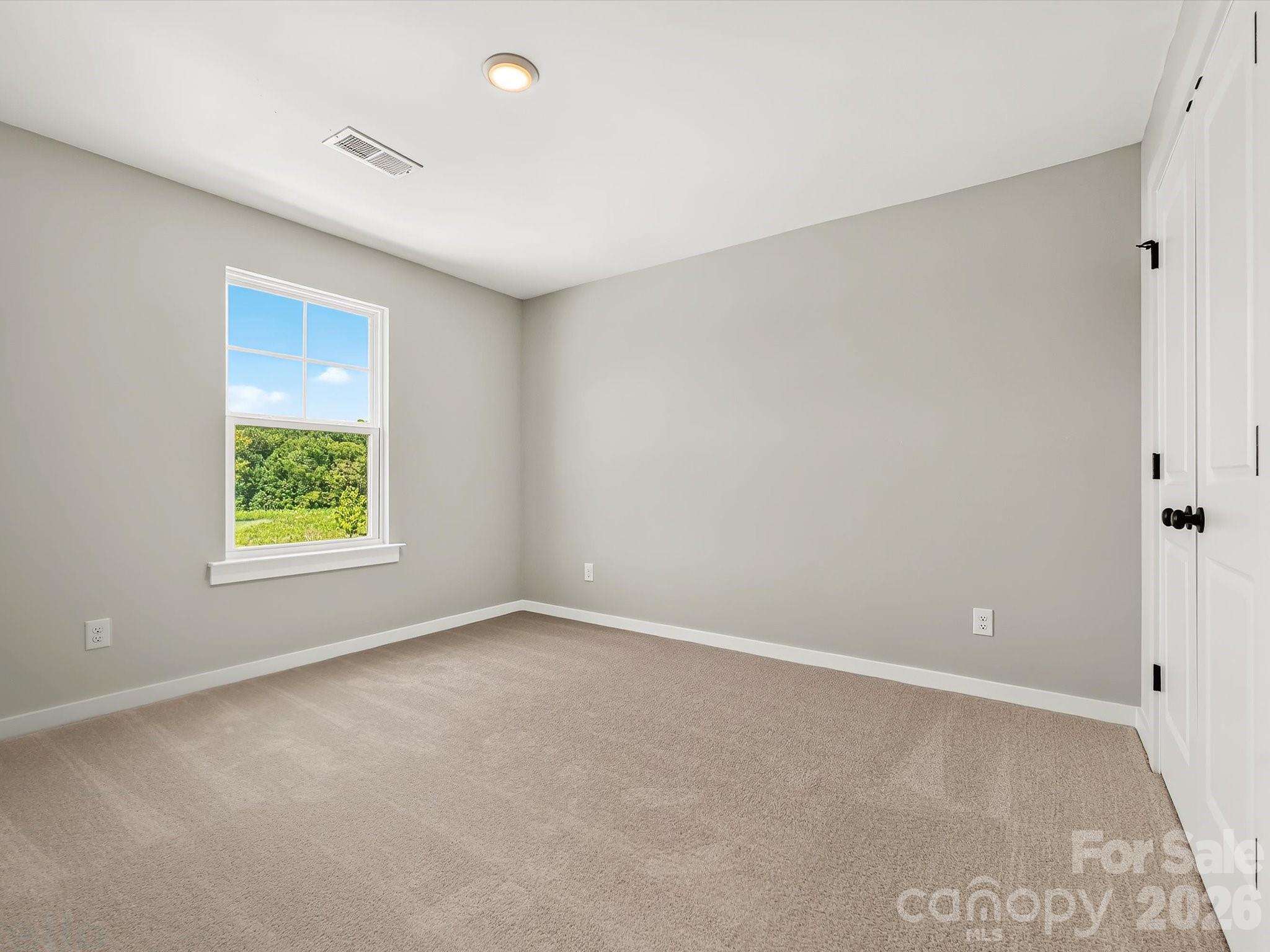 284 Alluvium Lane Property Photo 38