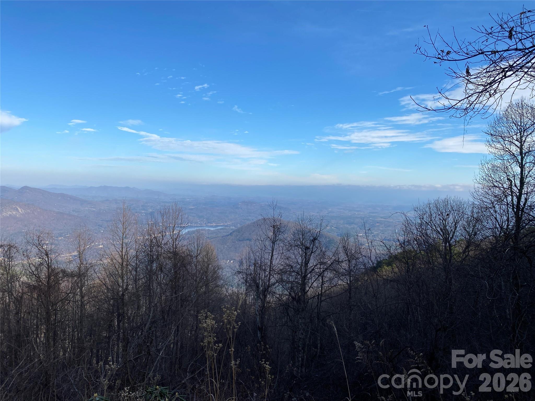 1170 Laughter Road Property Photo 4