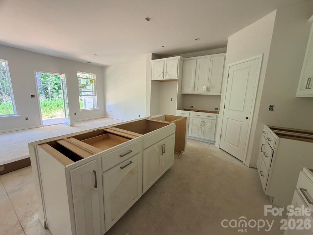 280 Alluvium Lane Property Photo 4