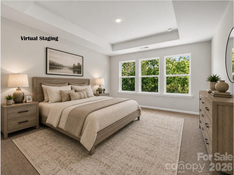 280 Alluvium Lane Property Photo 23