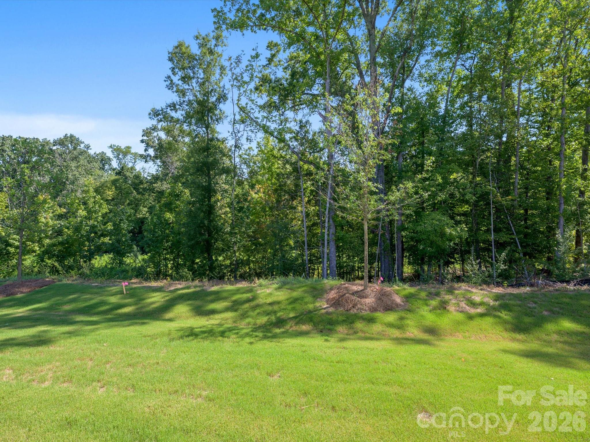 280 Alluvium Lane Property Photo 37
