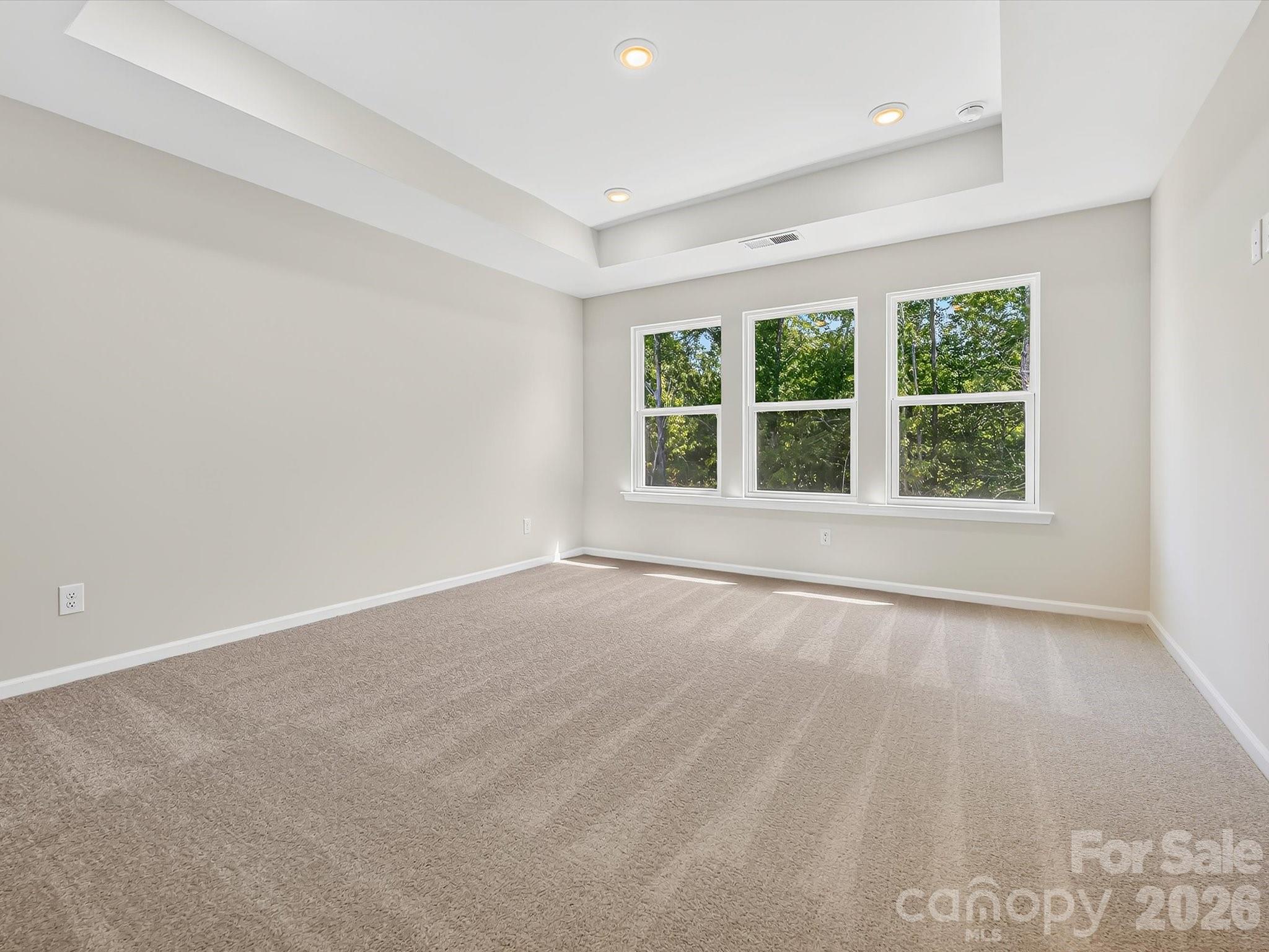 272 Alluvium Lane Property Photo 23