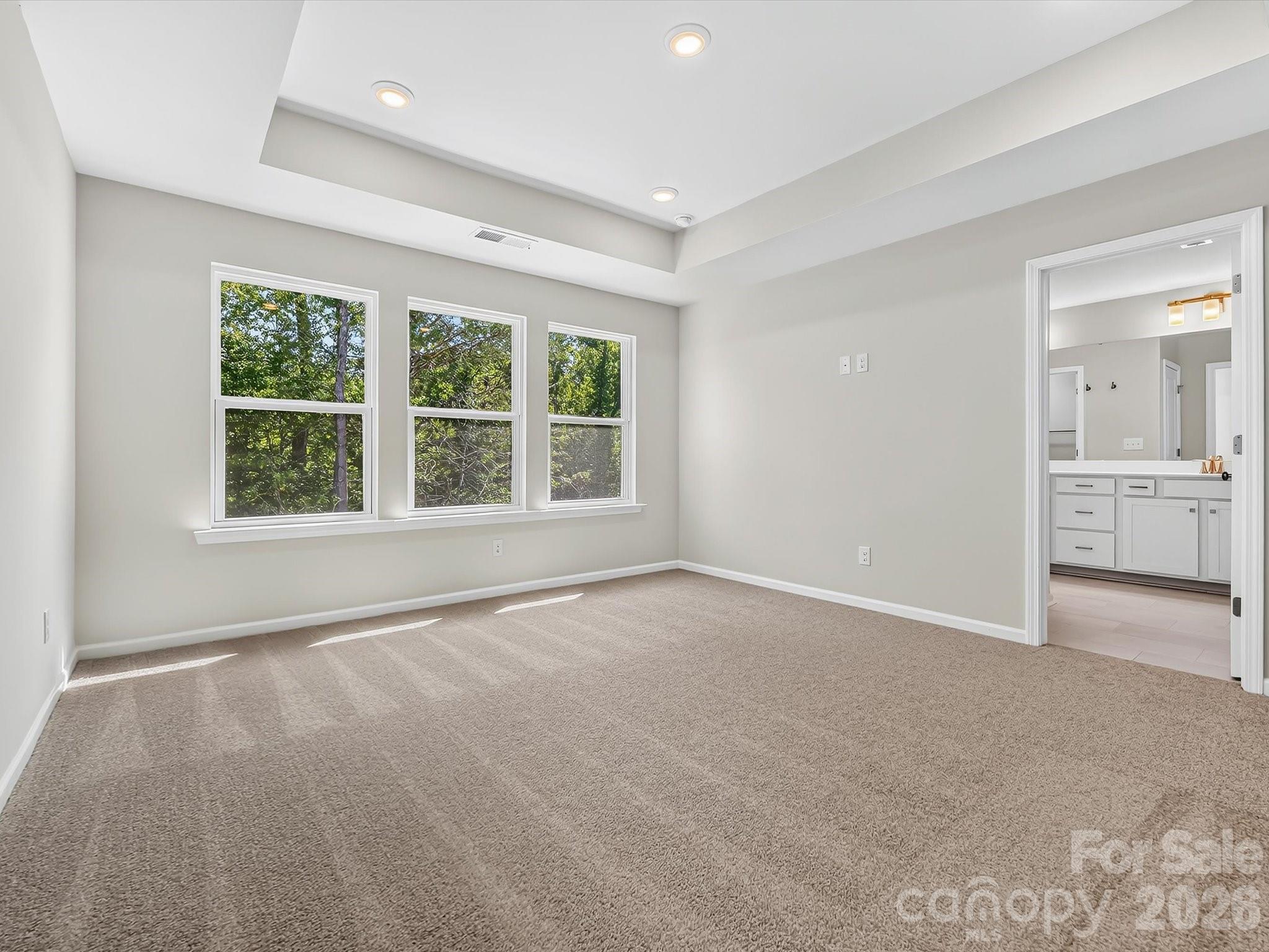 272 Alluvium Lane Property Photo 24