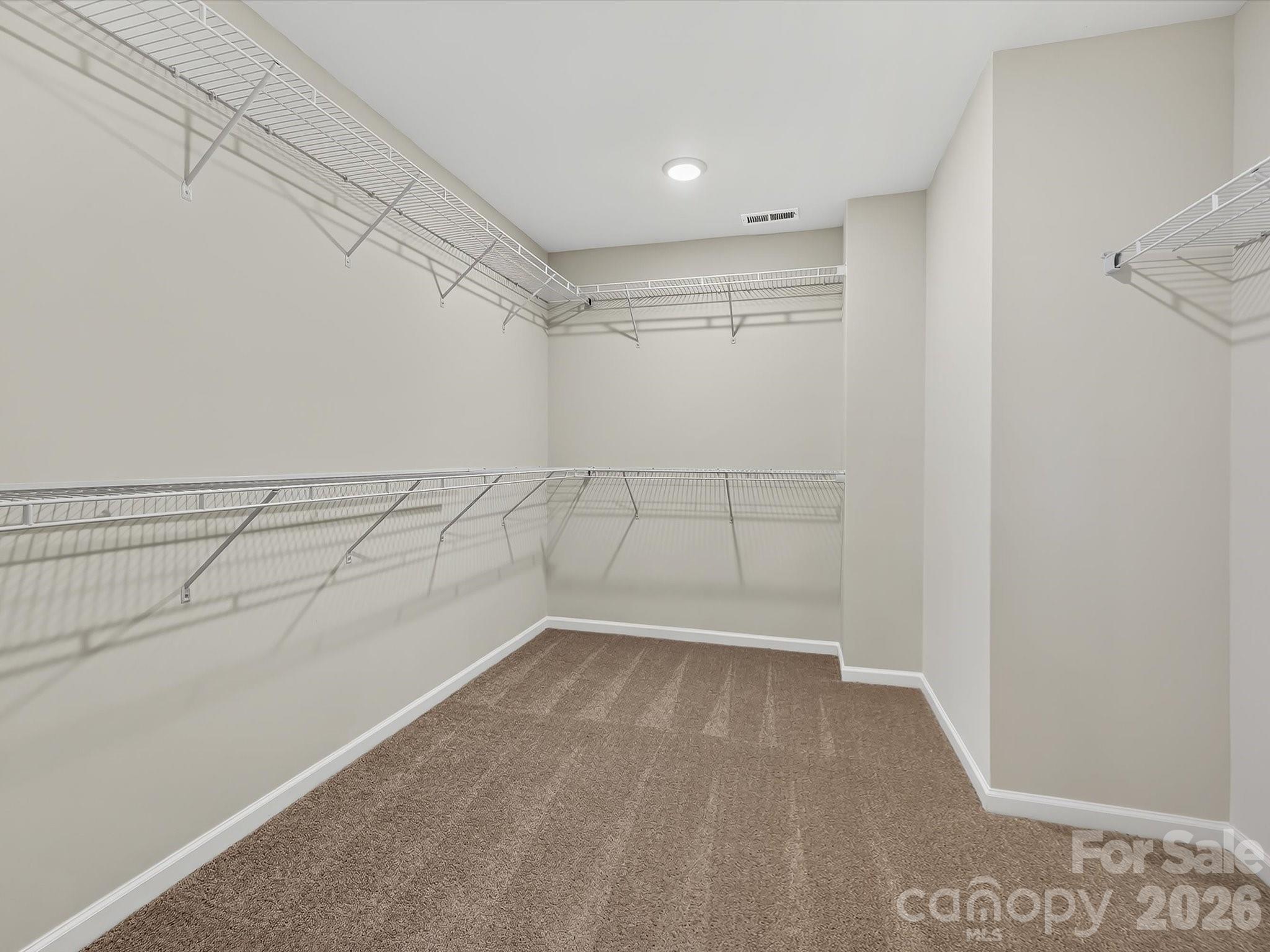 272 Alluvium Lane Property Photo 28