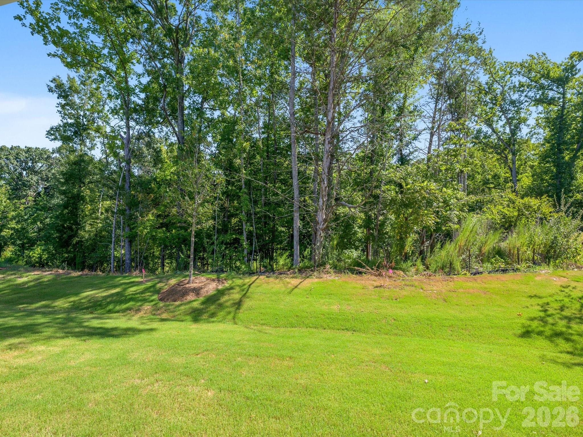 272 Alluvium Lane Property Photo 36