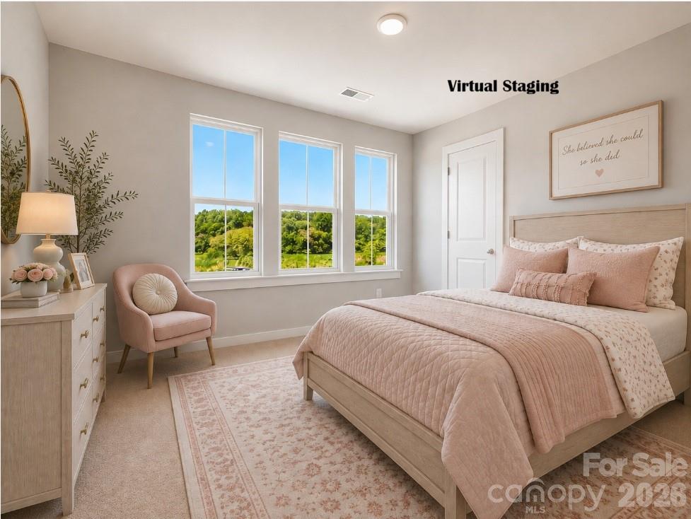 276 Alluvium Lane Property Photo 32