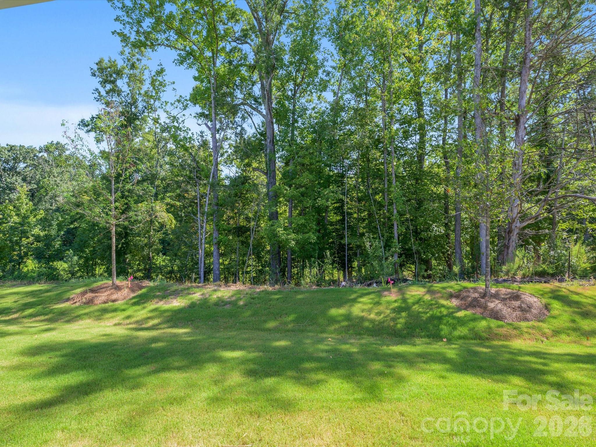 276 Alluvium Lane Property Photo 36