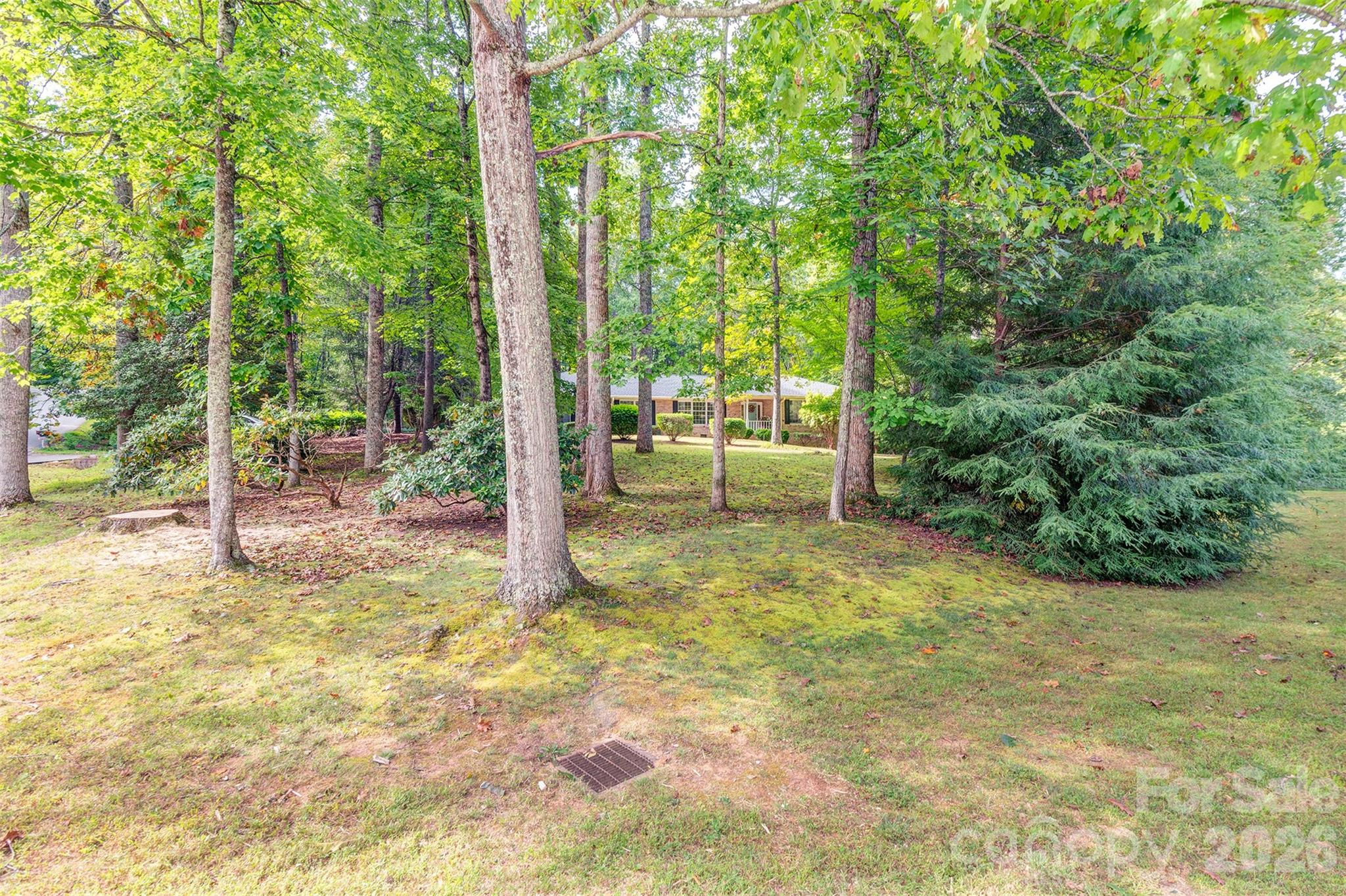 3 Sunningdale Drive Property Photo 26