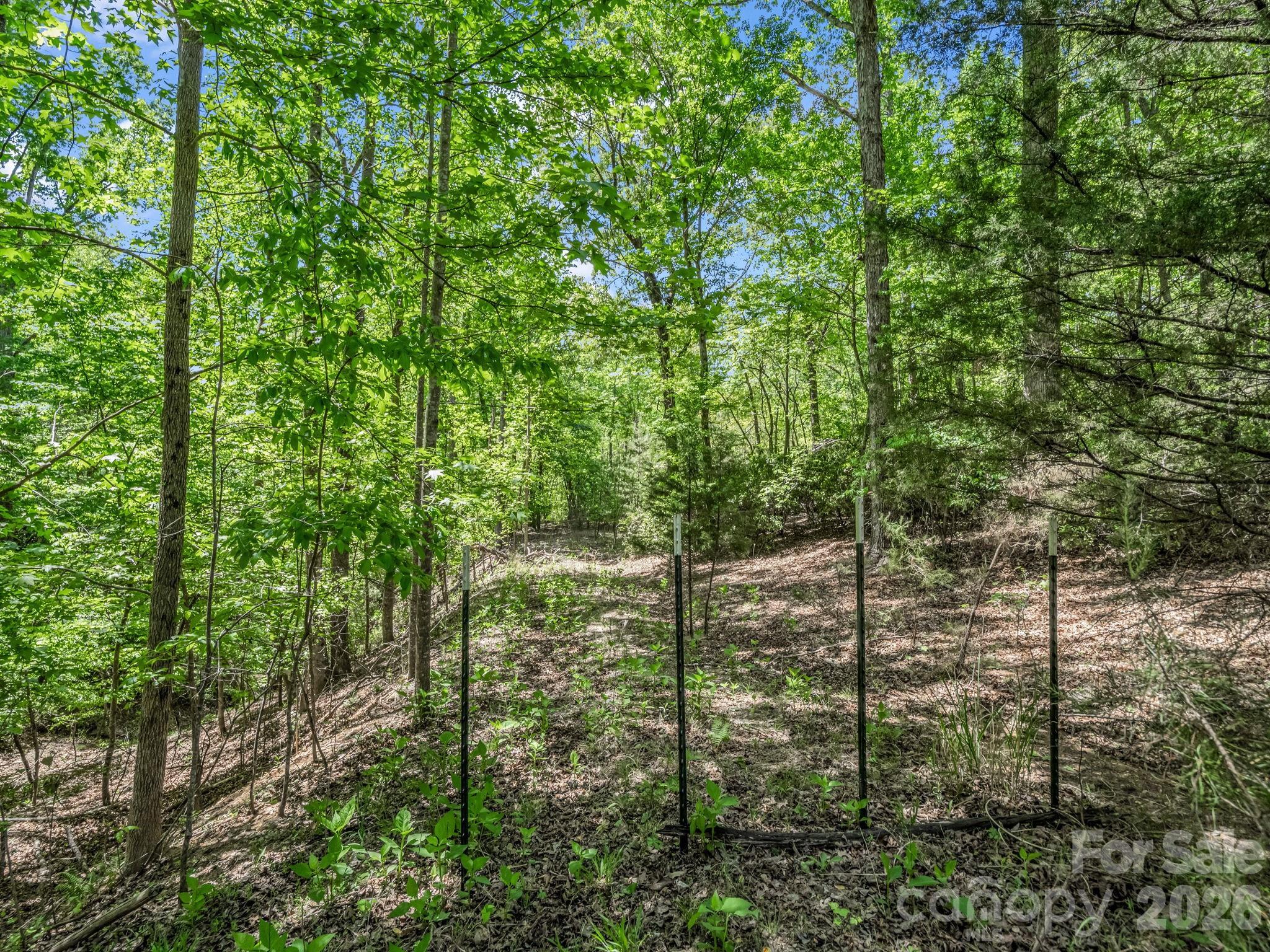 206 Westmoreland Trail 8