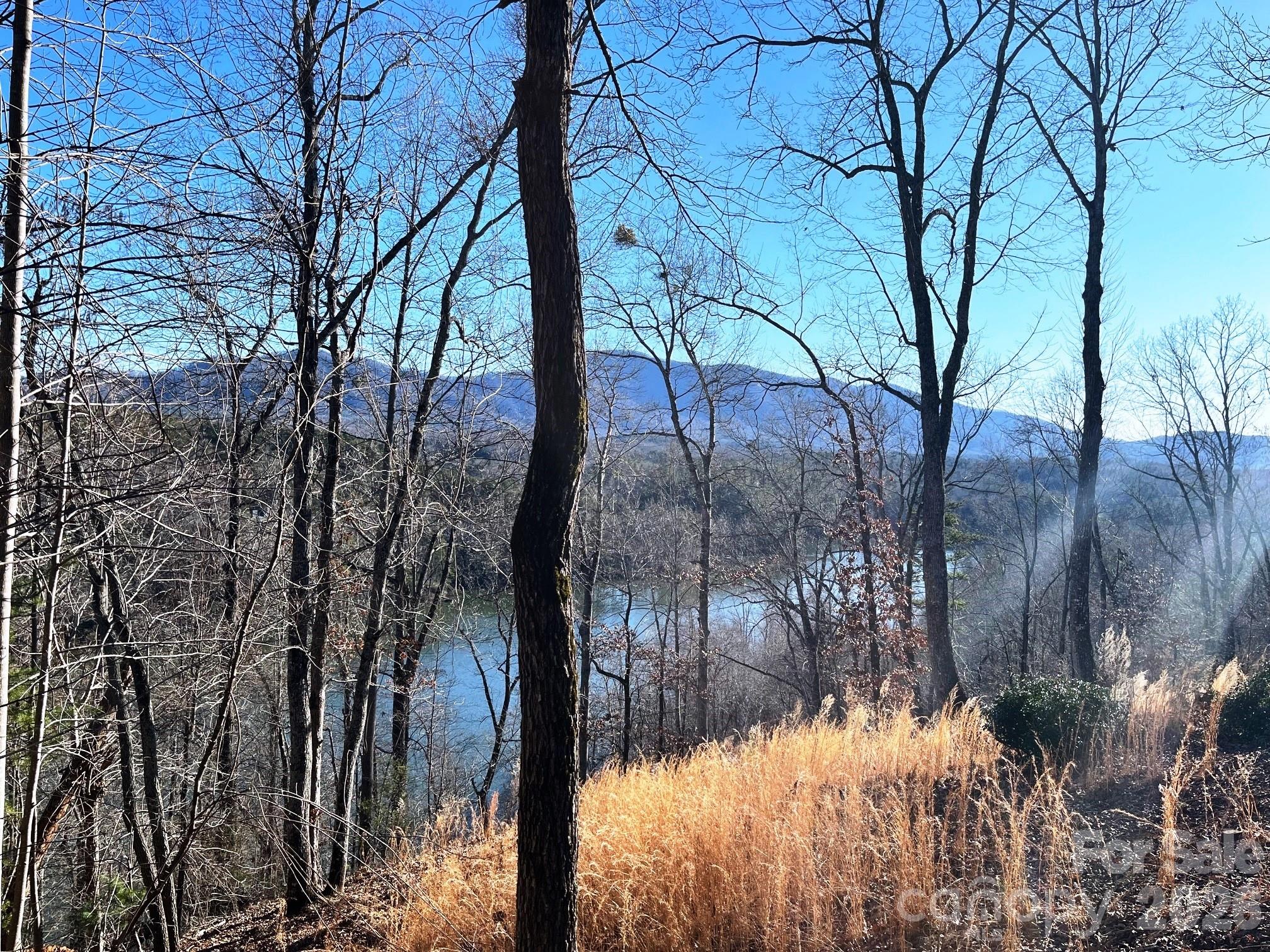 Lot 30 Mountain Parkway Property Photo 1
