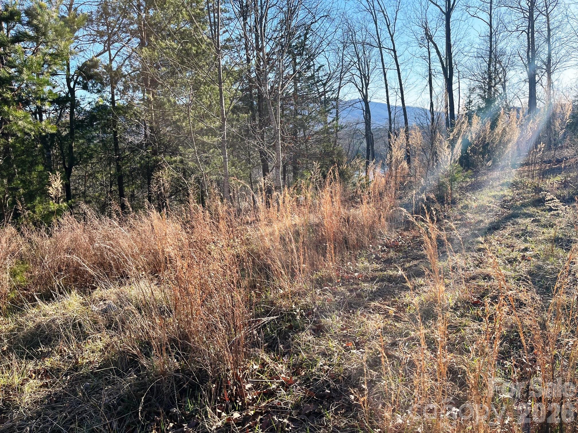 Lot 30 Mountain Parkway Property Photo 5