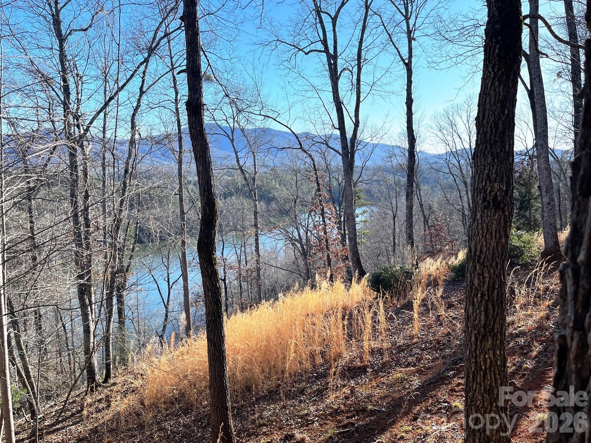 Lot 30 Mountain Parkway Property Photo 6