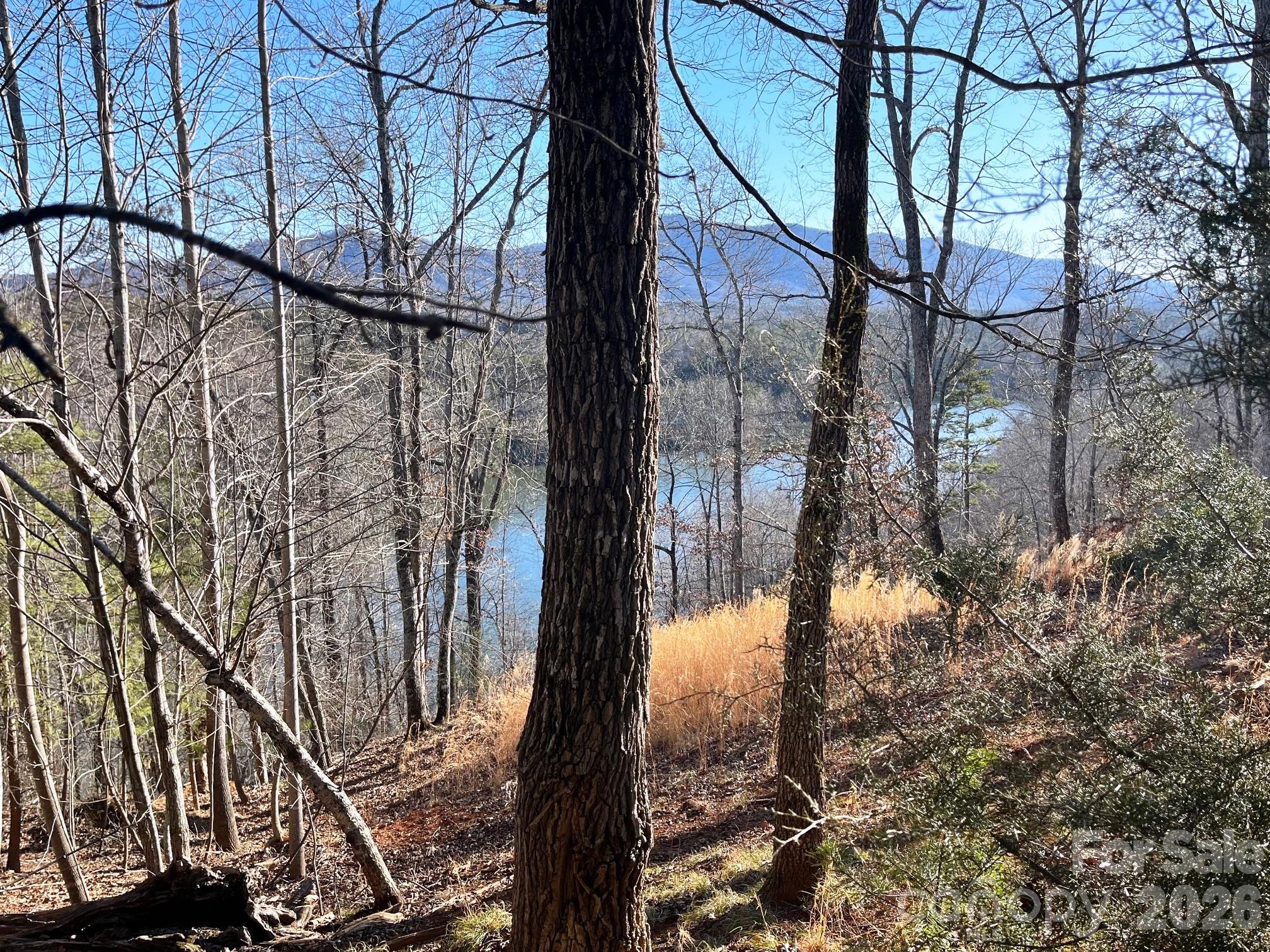 Lot 30 Mountain Parkway Property Photo 7