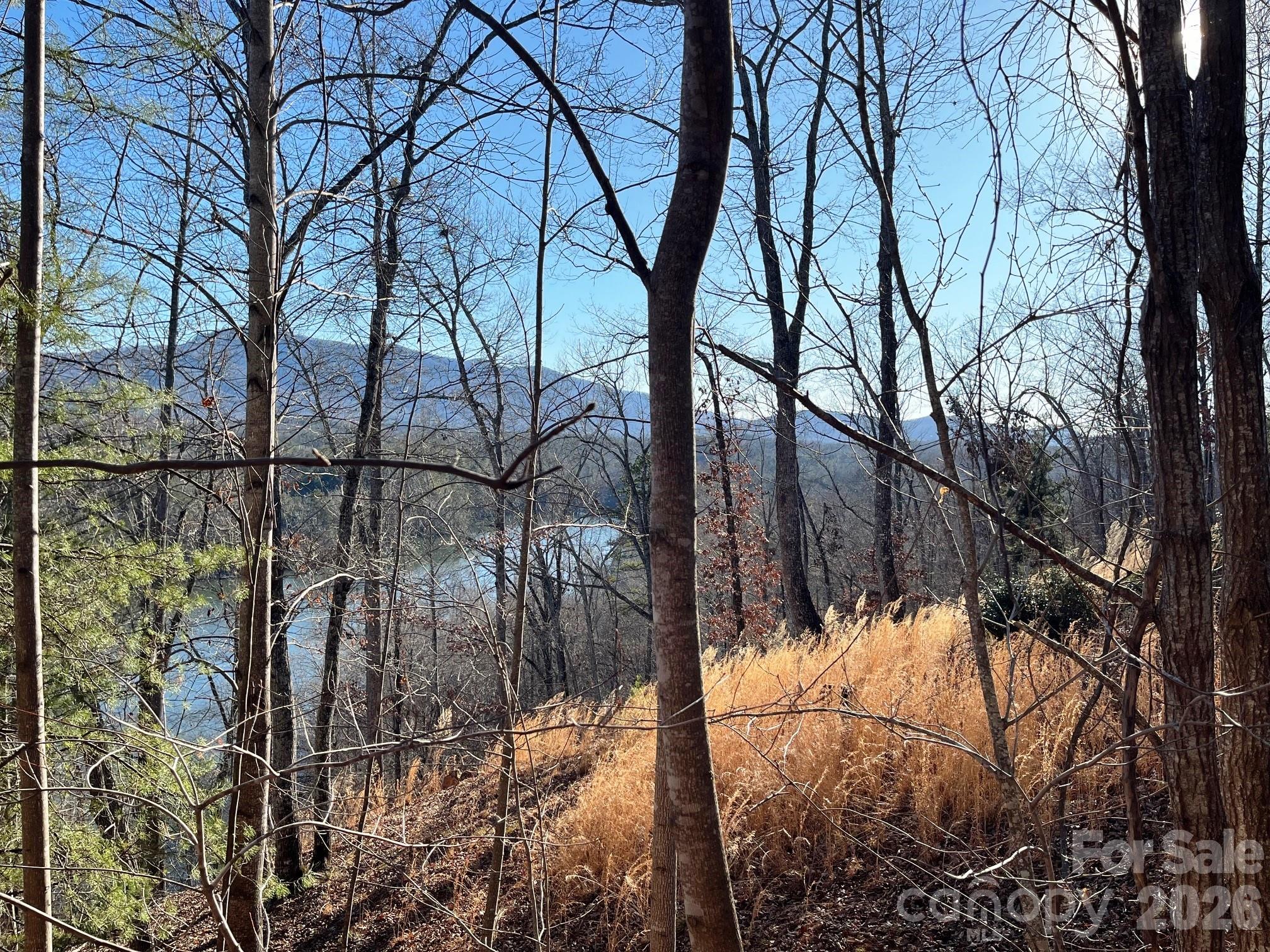 Lot 30 Mountain Parkway Property Photo 8