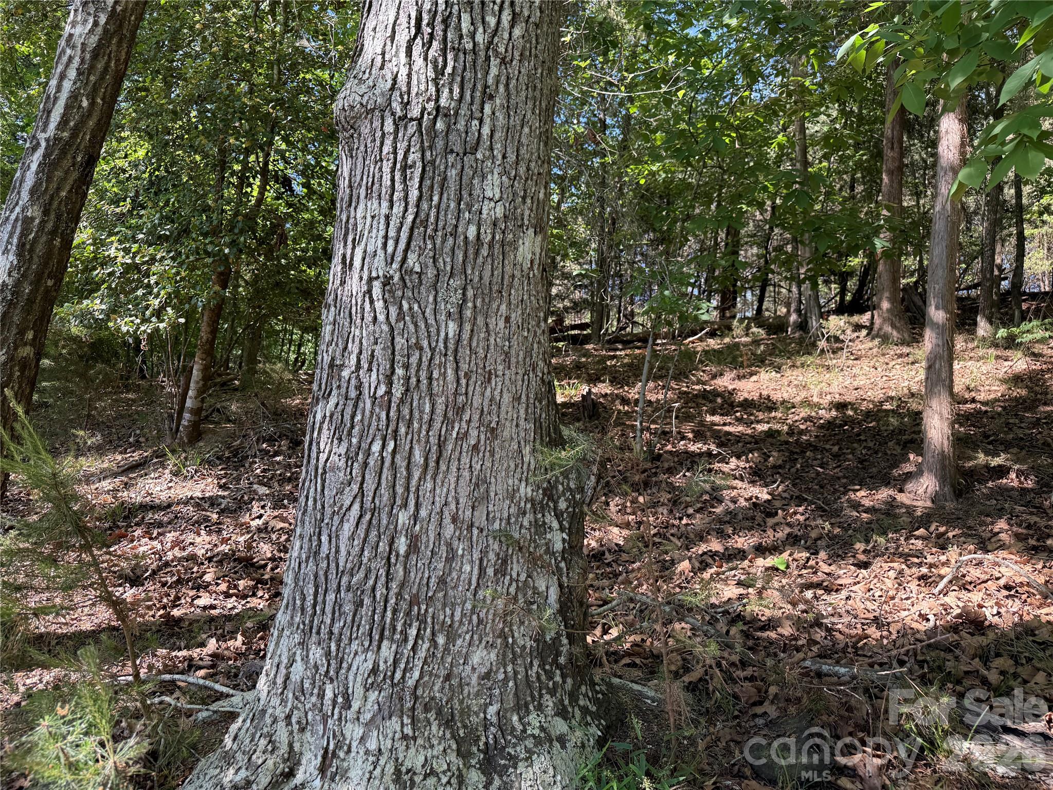 18524 Mainsail Court Property Photo 37