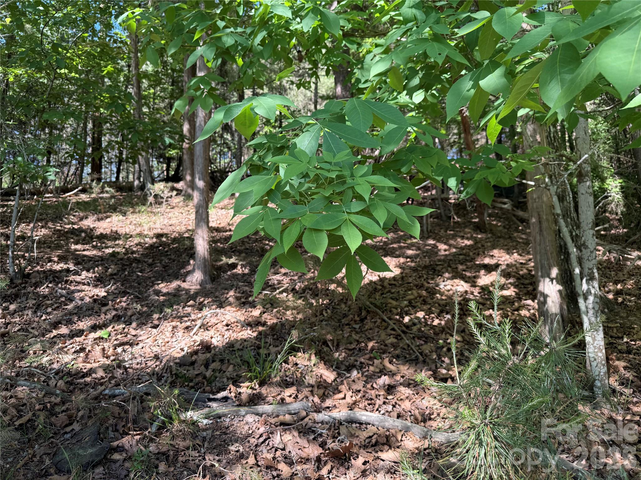18524 Mainsail Court Property Photo 41