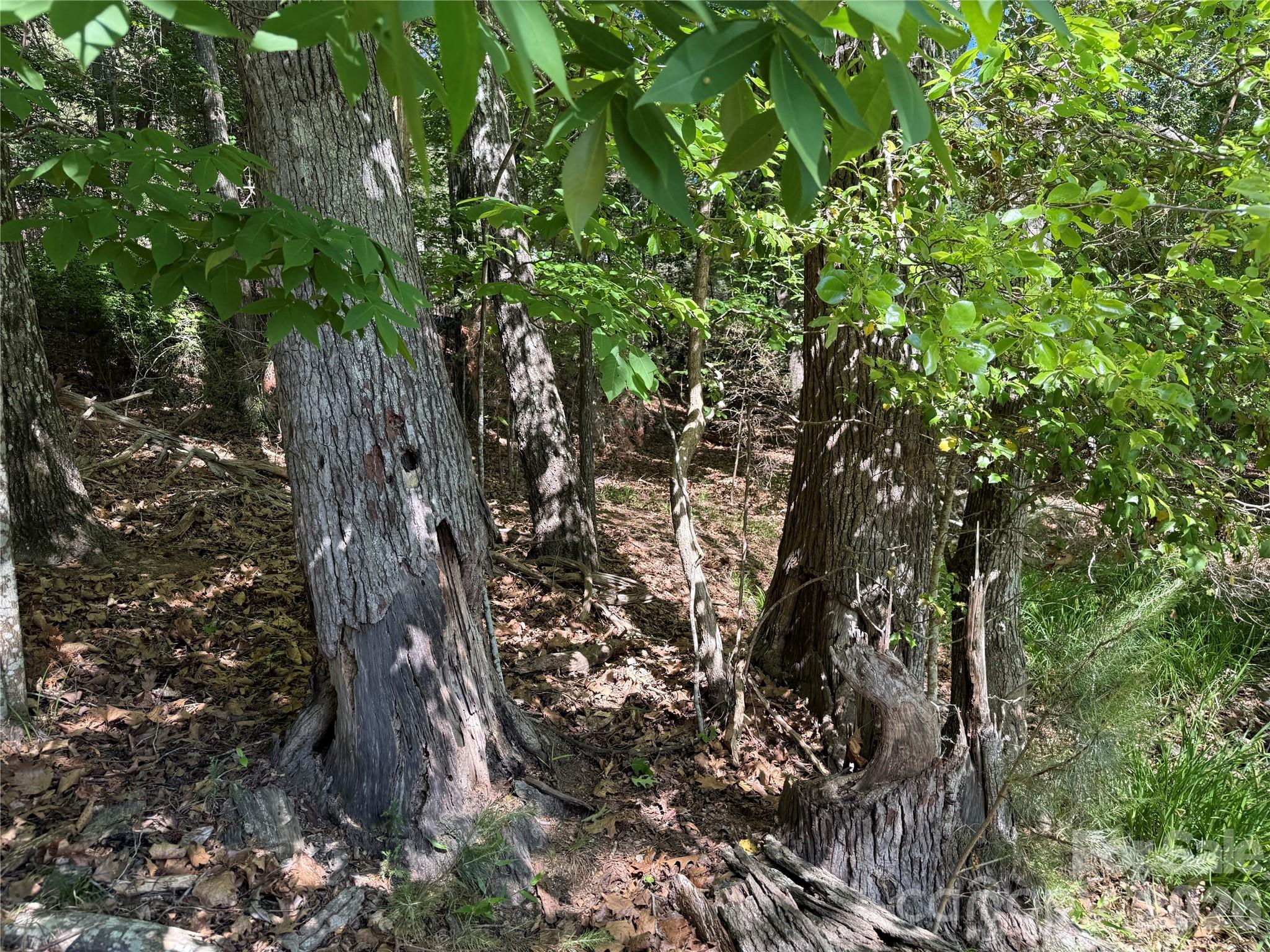 18524 Mainsail Court Property Photo 42
