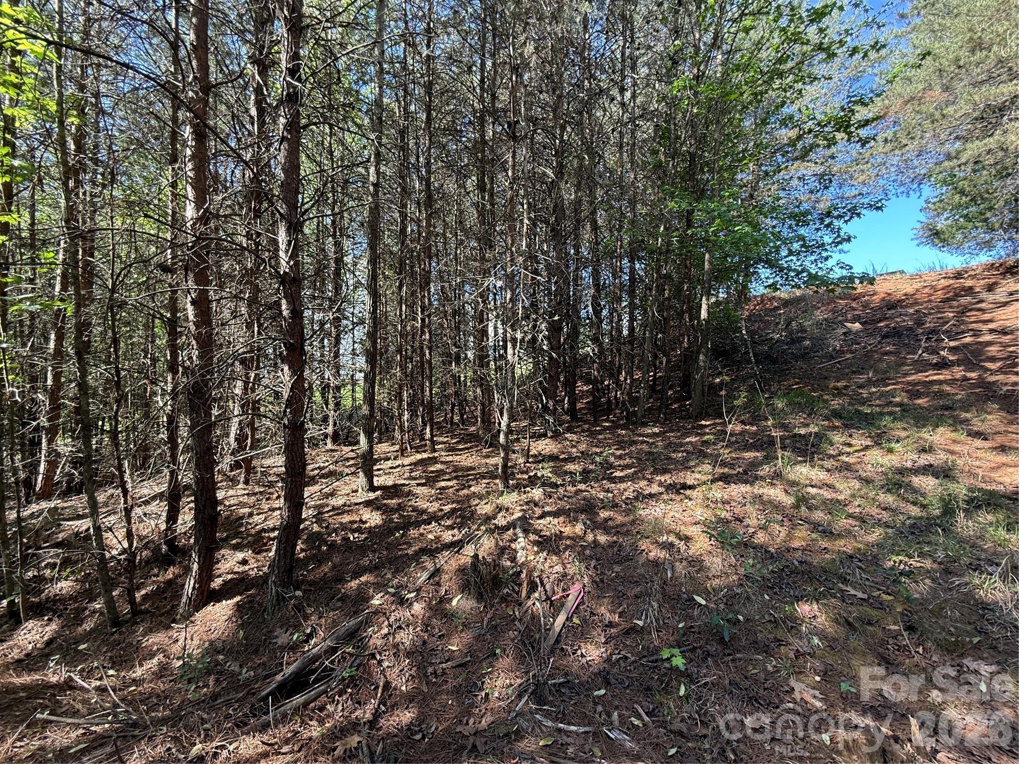 18524 Mainsail Court Property Photo 43
