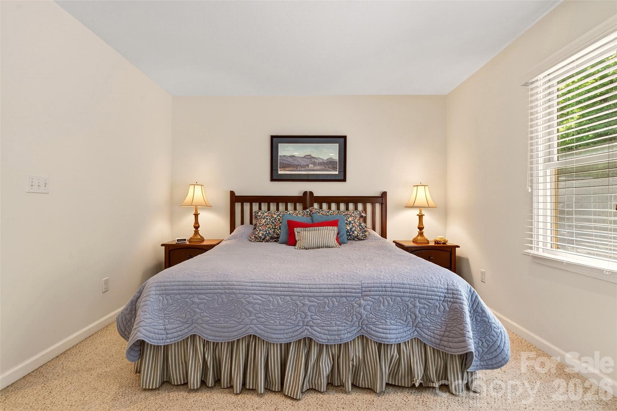 307 Blue Ridge Drive 4 Property Photo 20