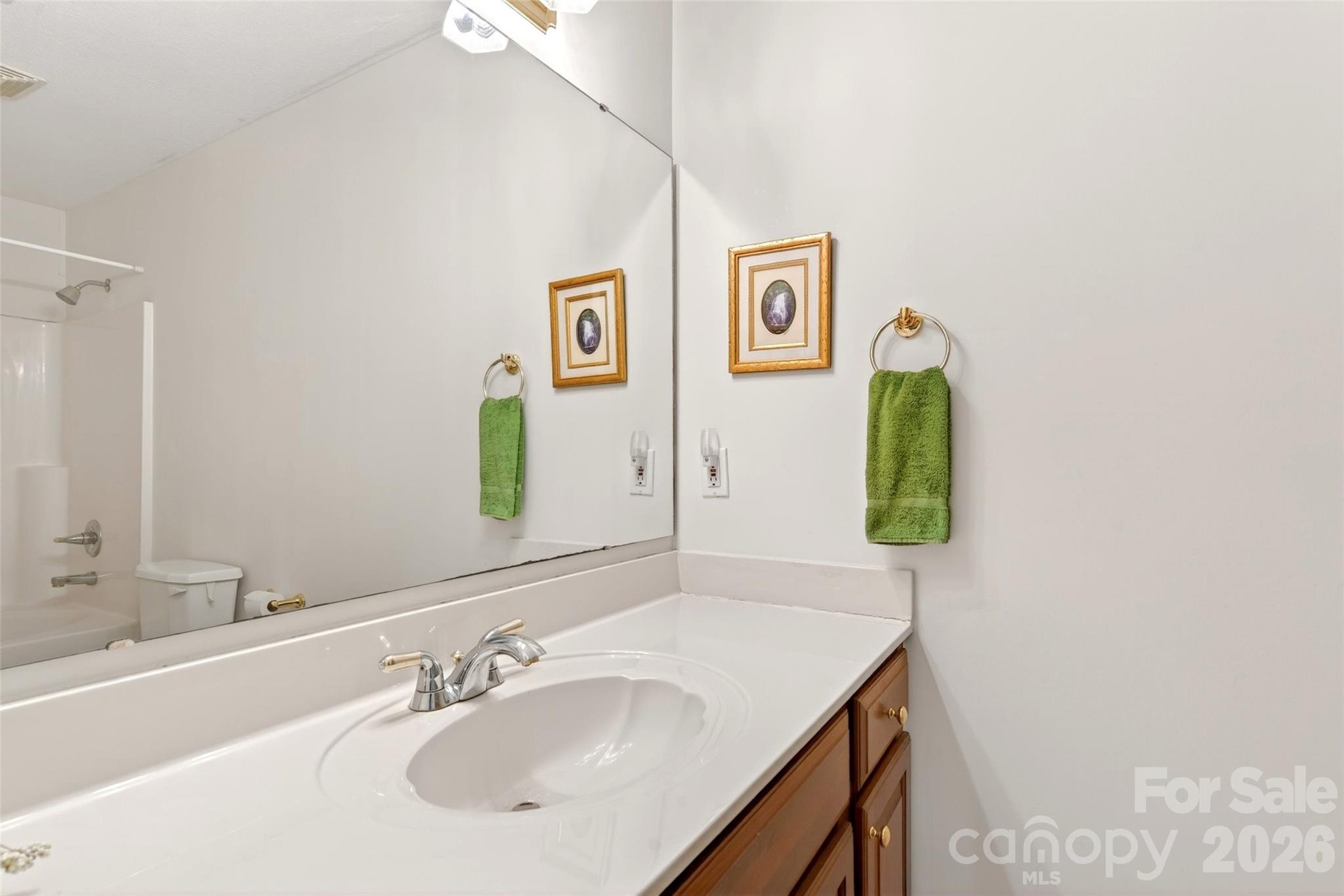 307 Blue Ridge Drive 4 Property Photo 29
