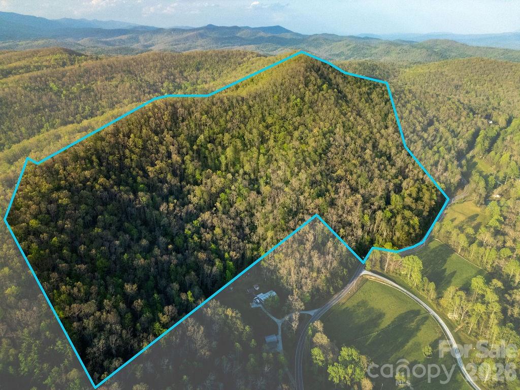 Off Diamond Creek Road Property Photo 1