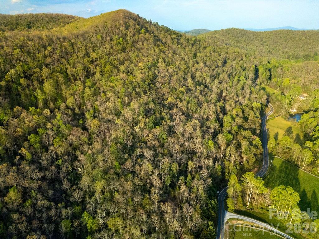 Off Diamond Creek Road Property Photo 3