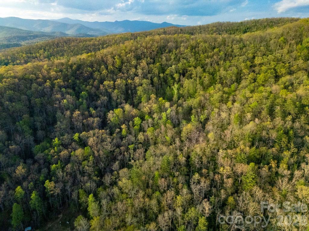 Off Diamond Creek Road Property Photo 4