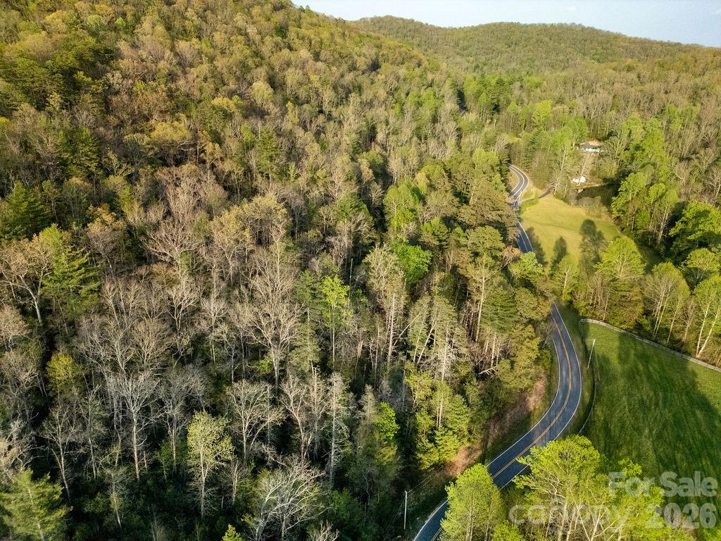 Off Diamond Creek Road Property Photo 5