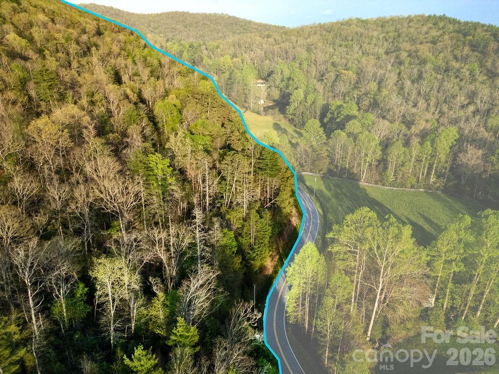 Off Diamond Creek Road Property Photo 6