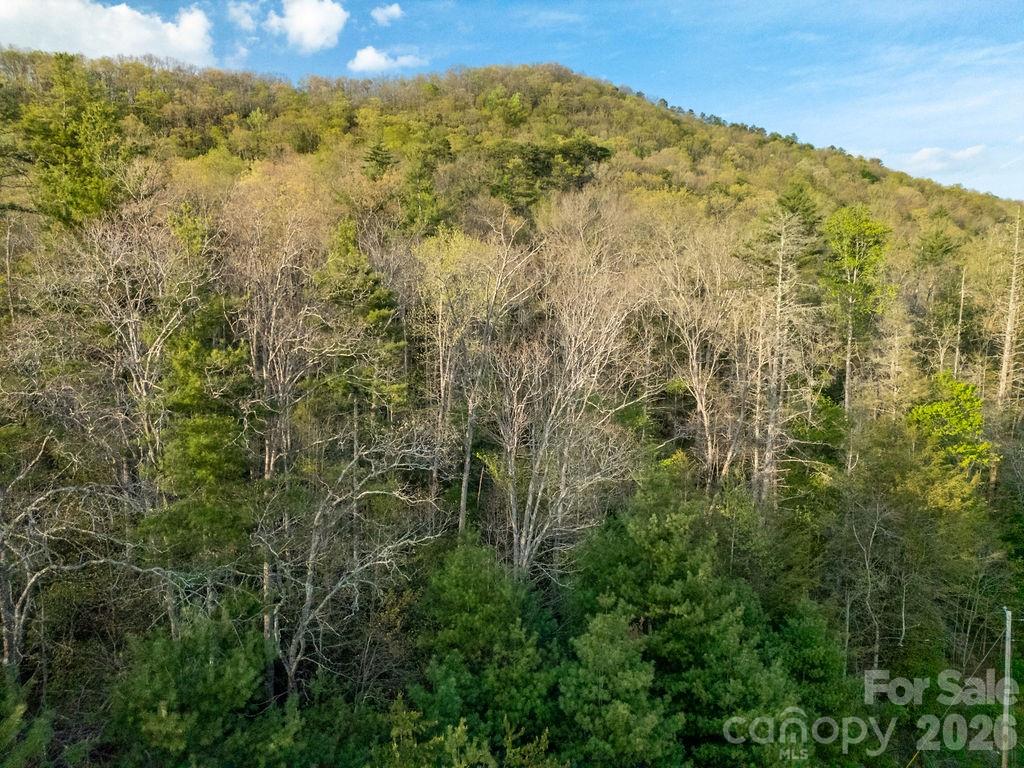 Off Diamond Creek Road Property Photo 7