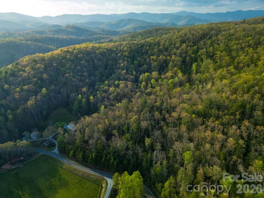 Off Diamond Creek Road Property Photo 8