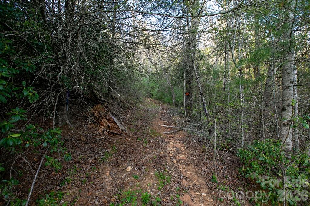 Off Diamond Creek Road Property Photo 12