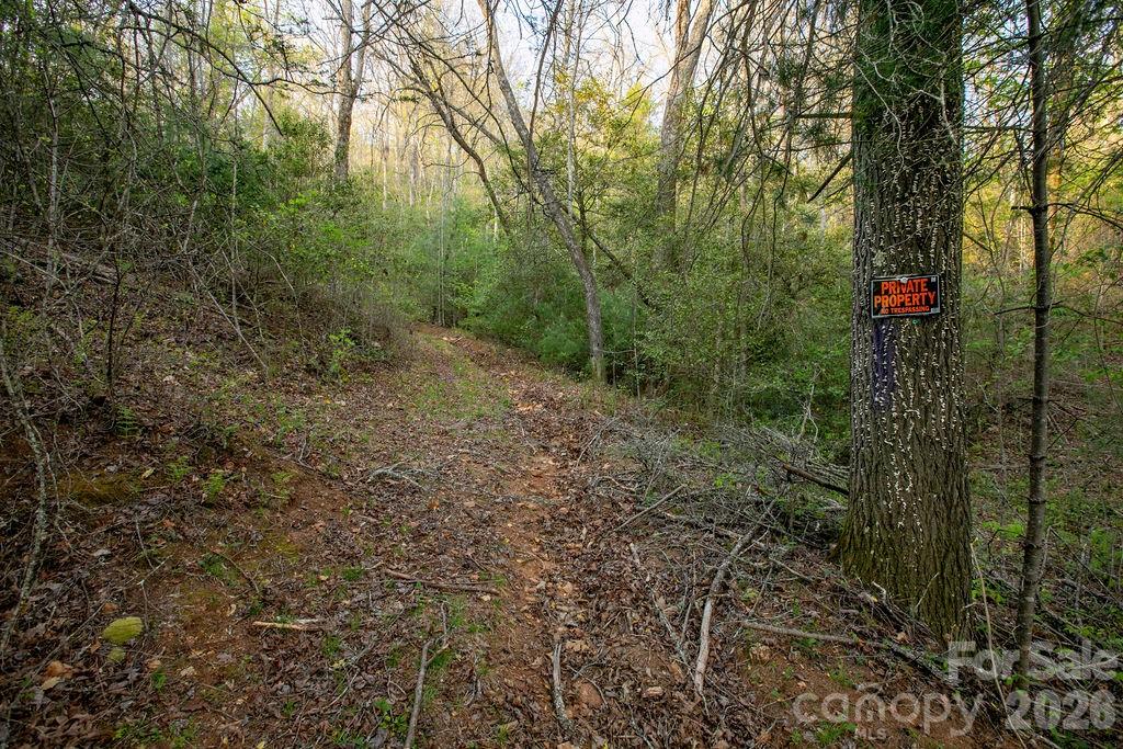 Off Diamond Creek Road Property Photo 13