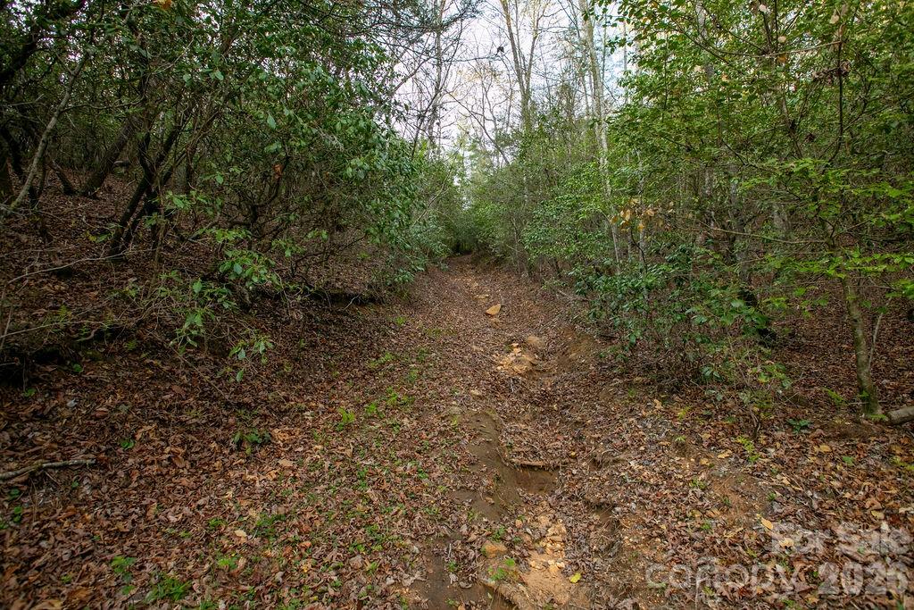 Off Diamond Creek Road Property Photo 14