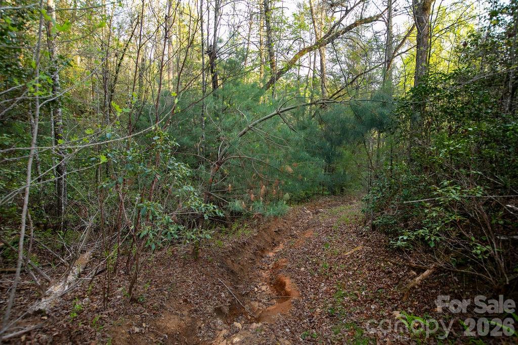 Off Diamond Creek Road Property Photo 15