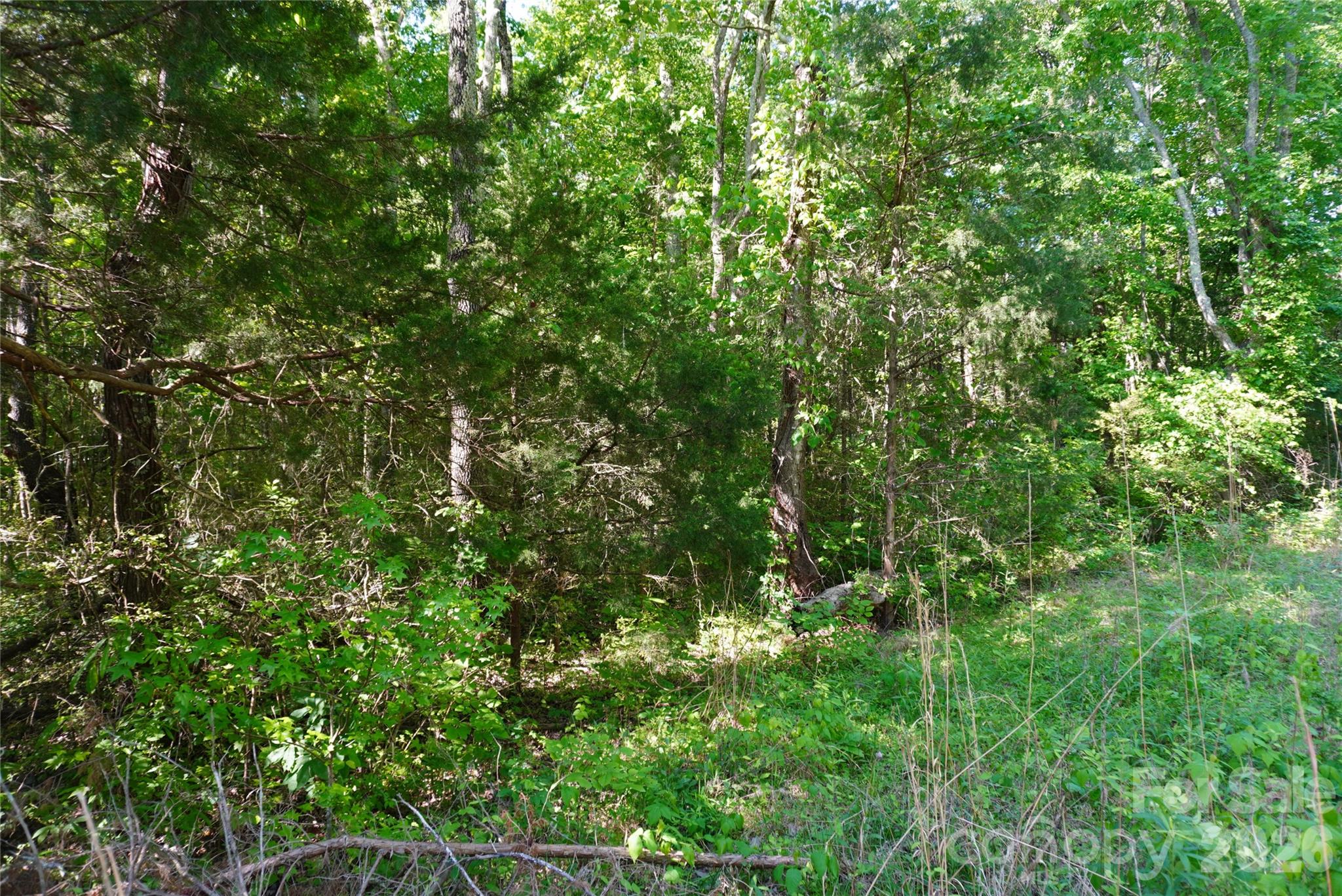 11928 Brief Road Property Photo 4