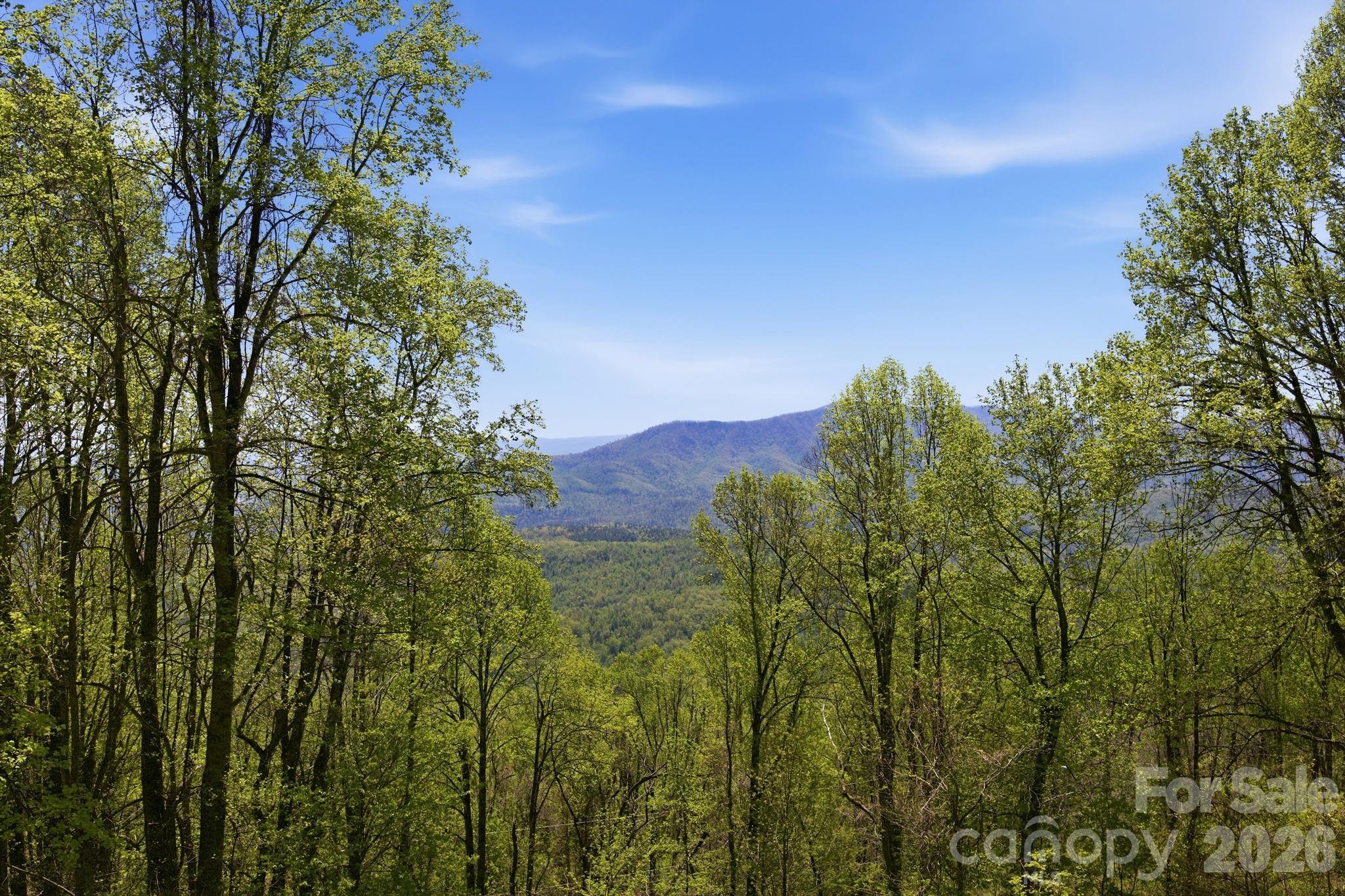 199 Alpine Drive Property Photo 39