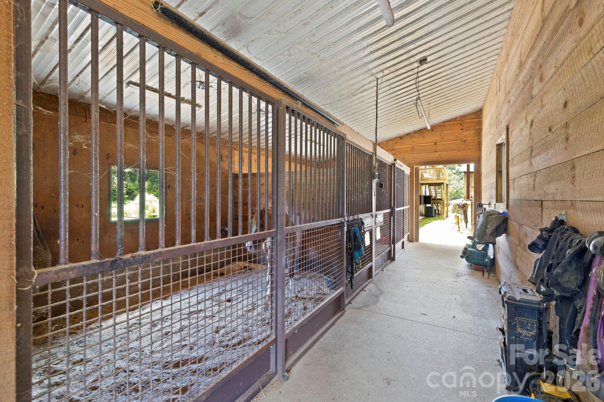 442 Blantyre Church Road Property Photo 17