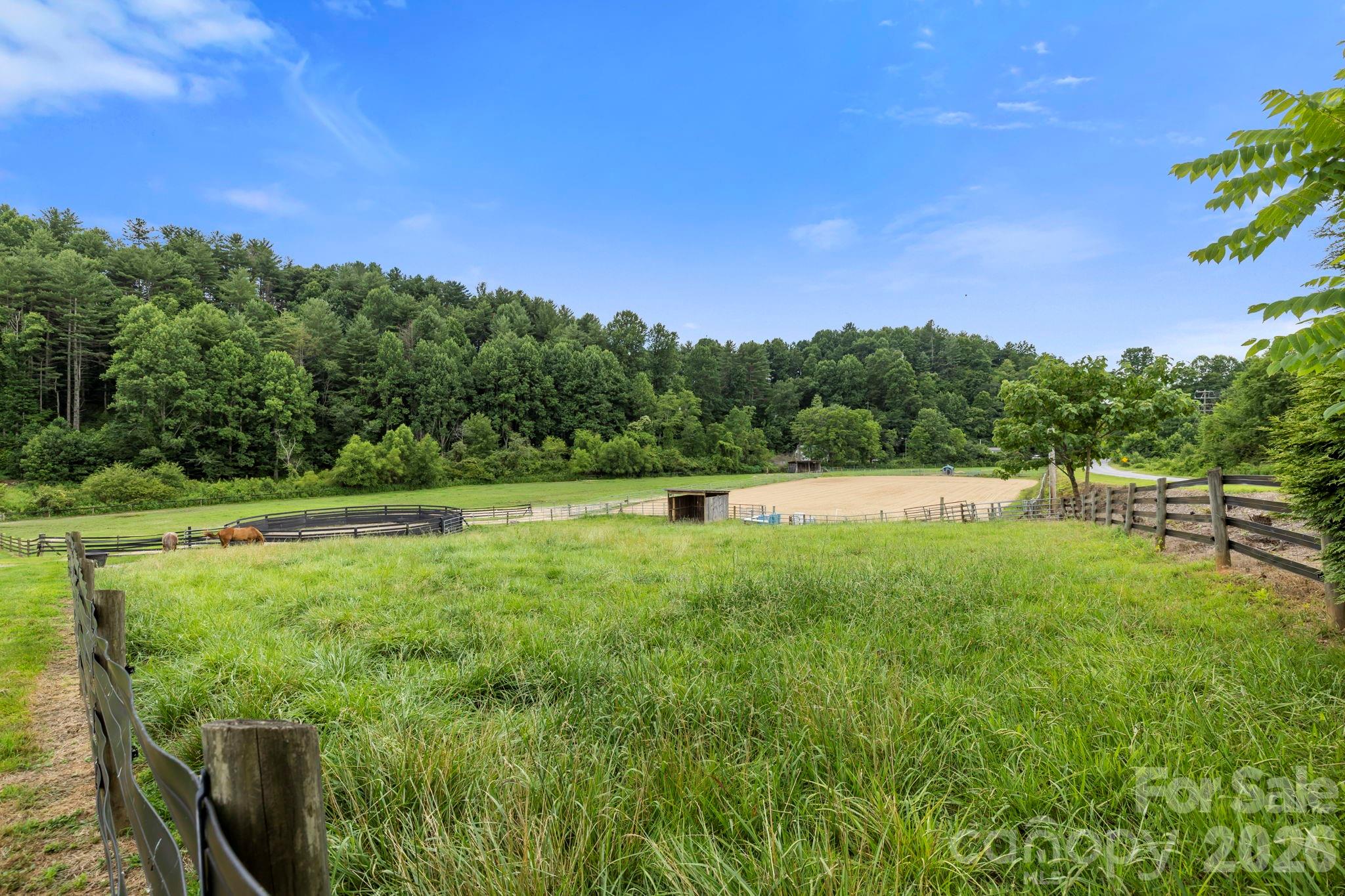 442 Blantyre Church Road Property Photo 28