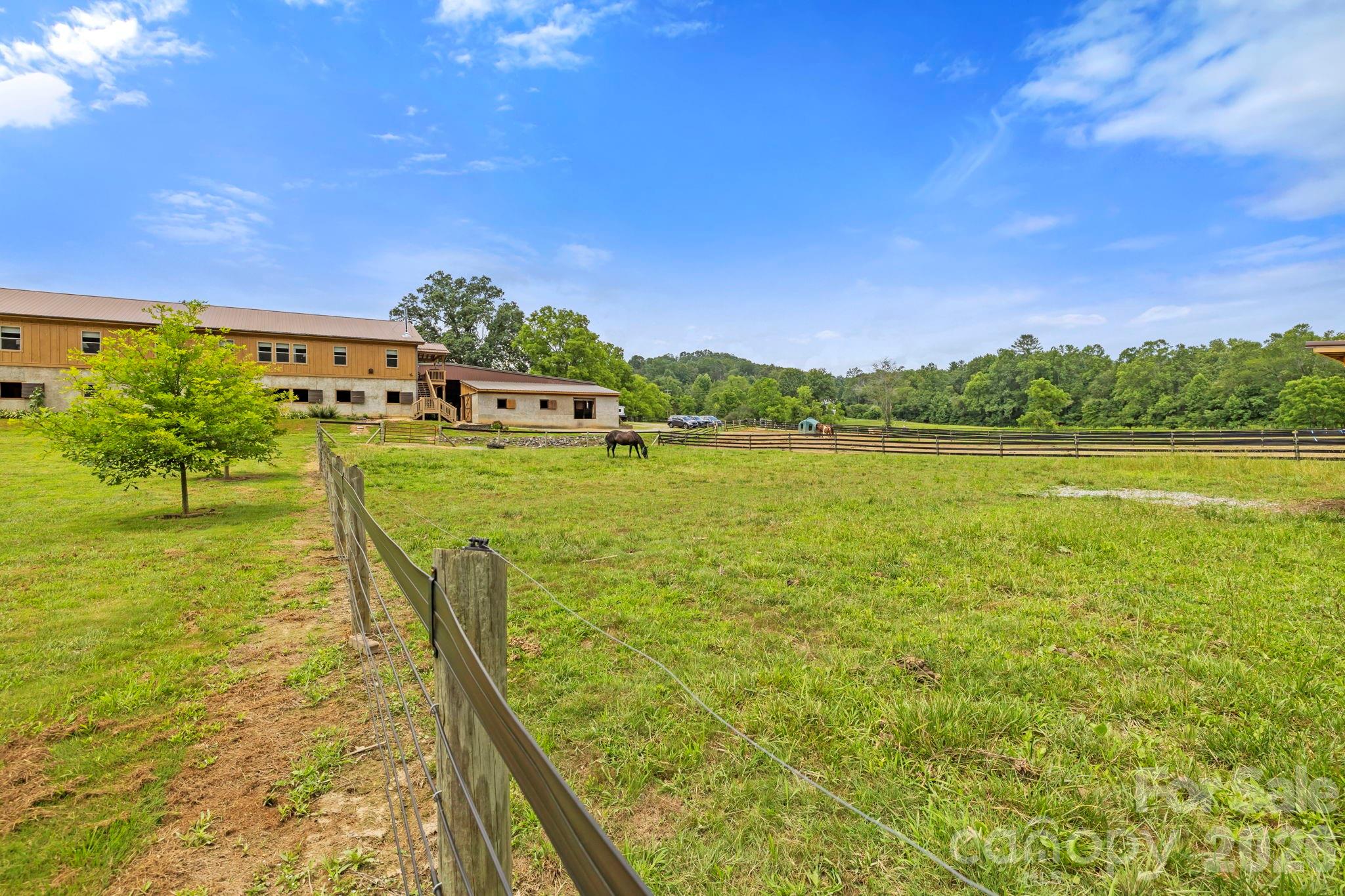 442 Blantyre Church Road Property Photo 39