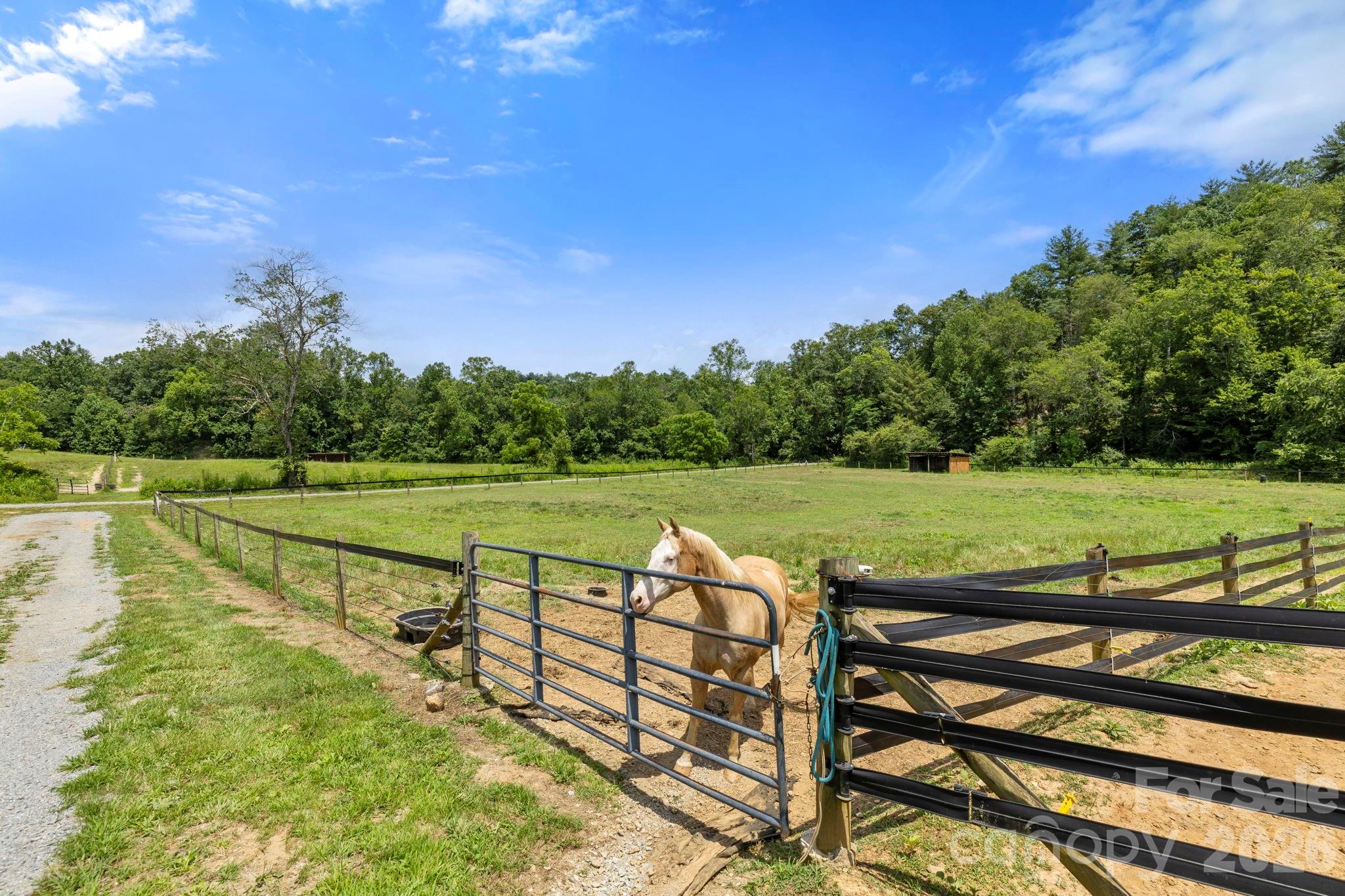 442 Blantyre Church Road Property Photo 42
