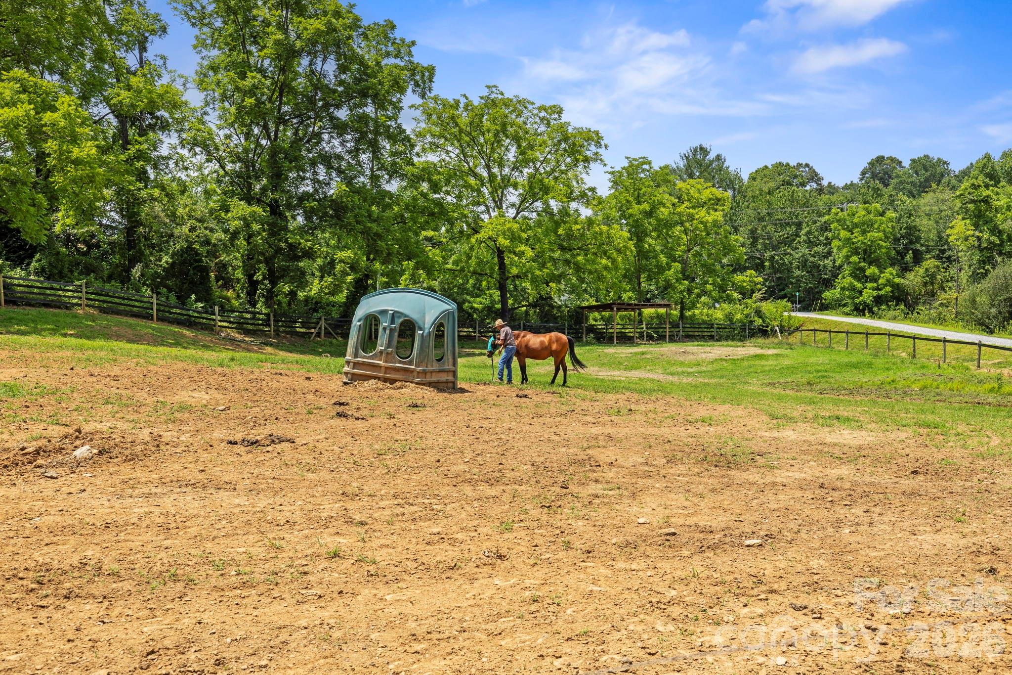 442 Blantyre Church Road Property Photo 43