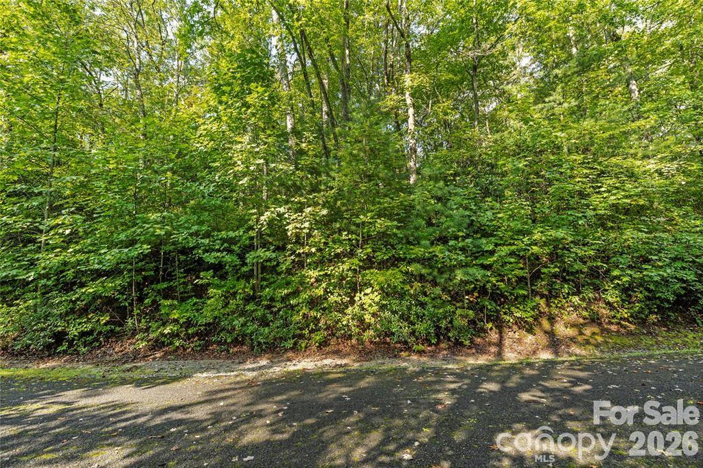 Tbd Barts Branch Drive 13 Property Photo 9