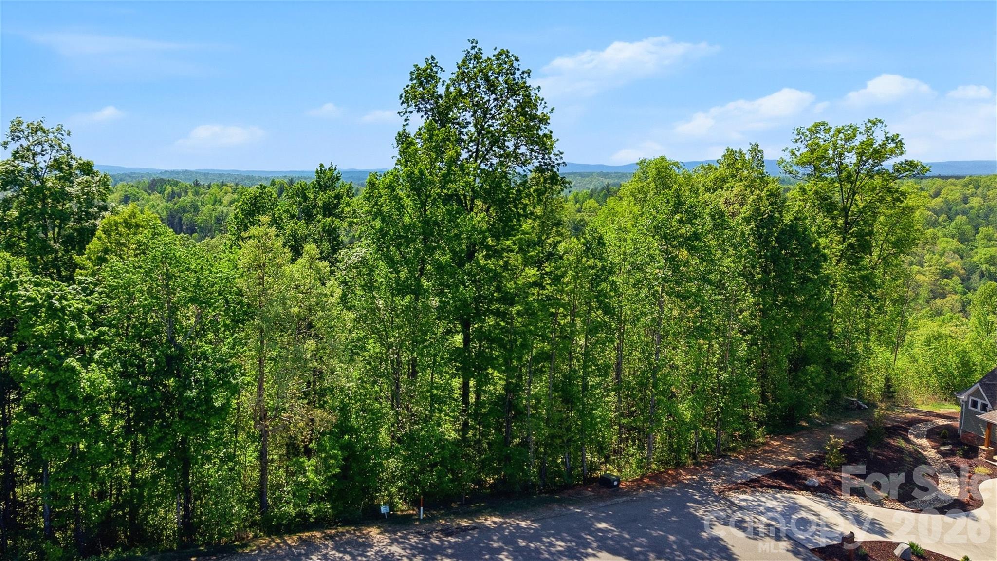 1029 River Club Ridge 1029 Property Photo 7