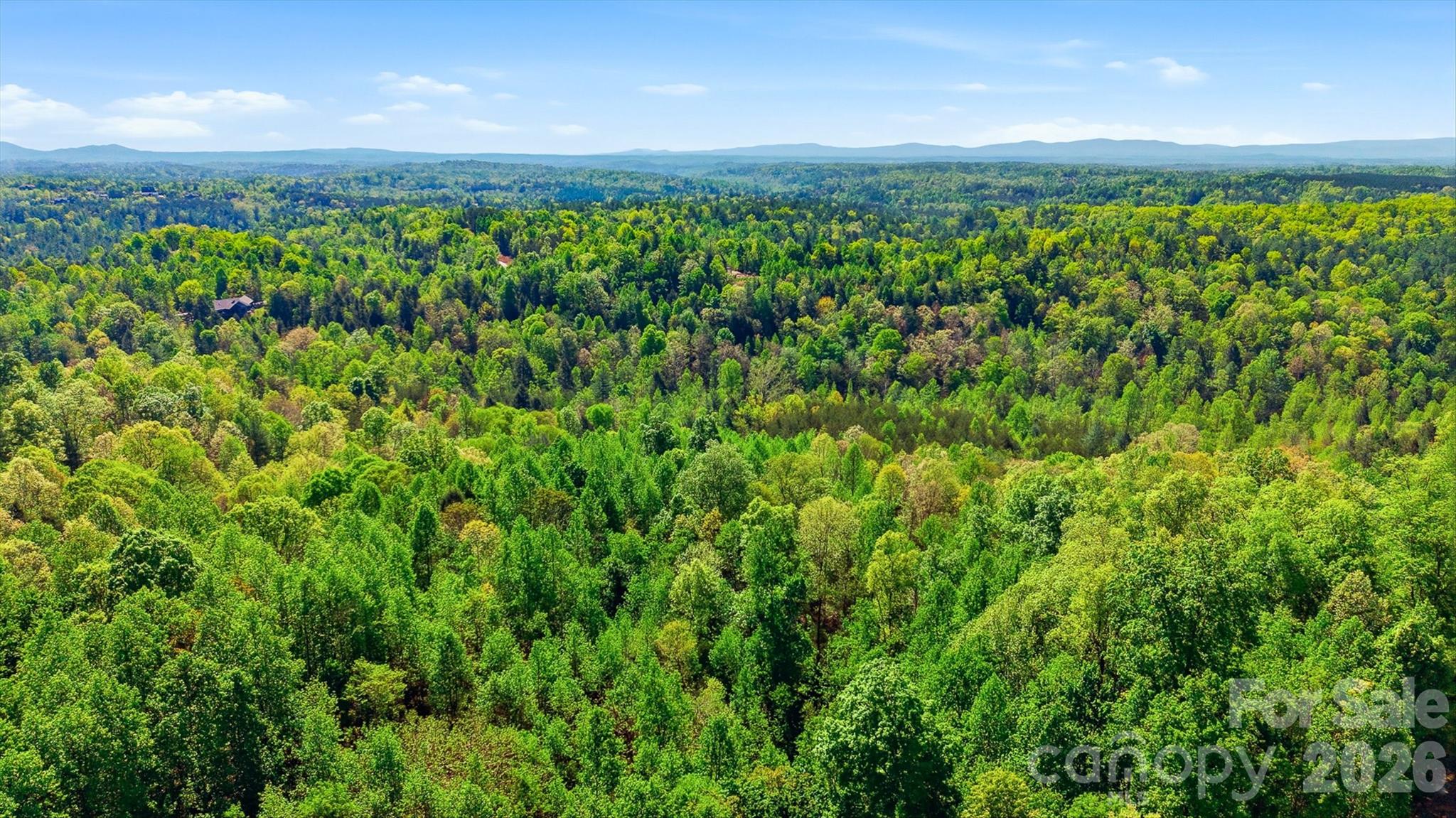 1029 River Club Ridge 1029 Property Photo 8