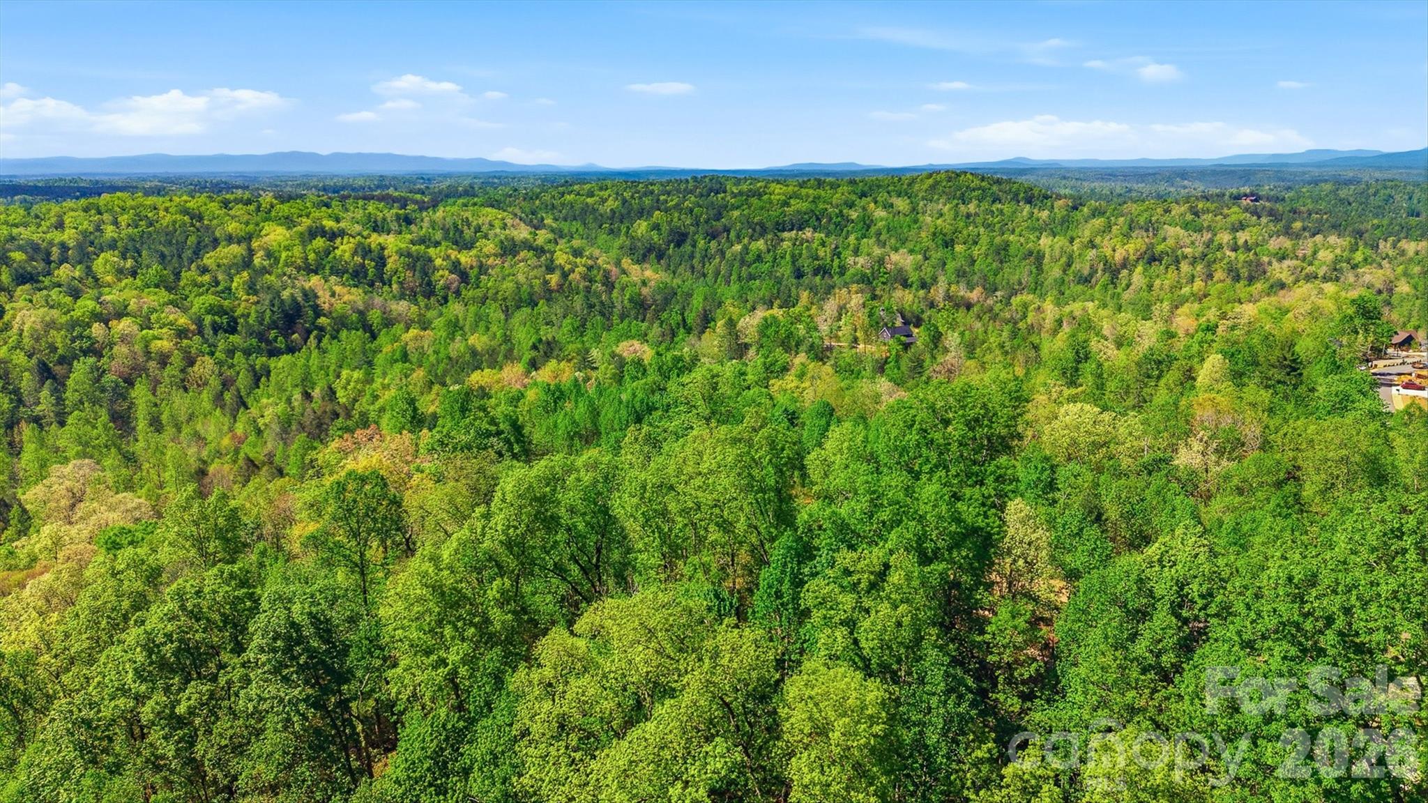 1029 River Club Ridge 1029 Property Photo 9