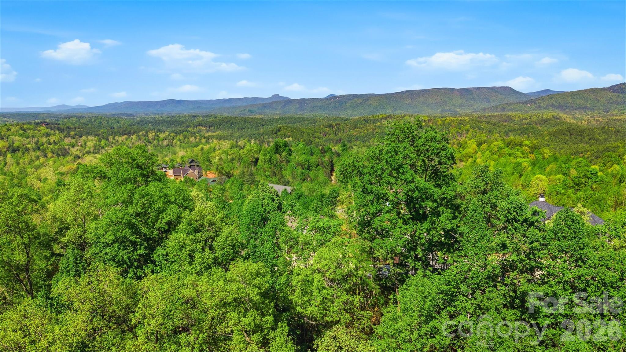1029 River Club Ridge 1029 Property Photo 10
