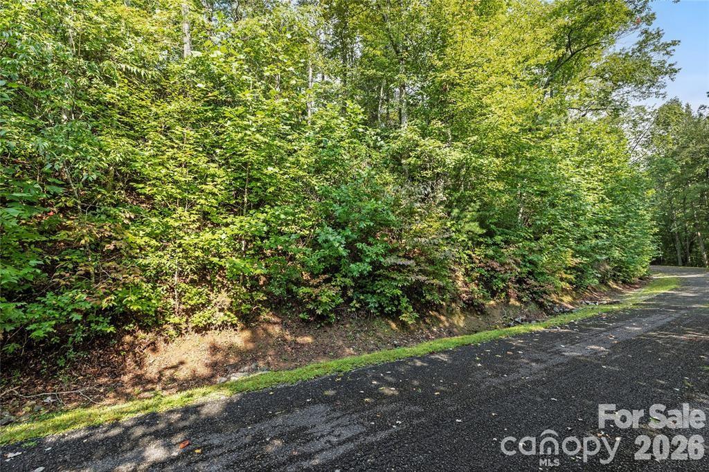Tbd Barts Branch Drive 14 Property Photo 6